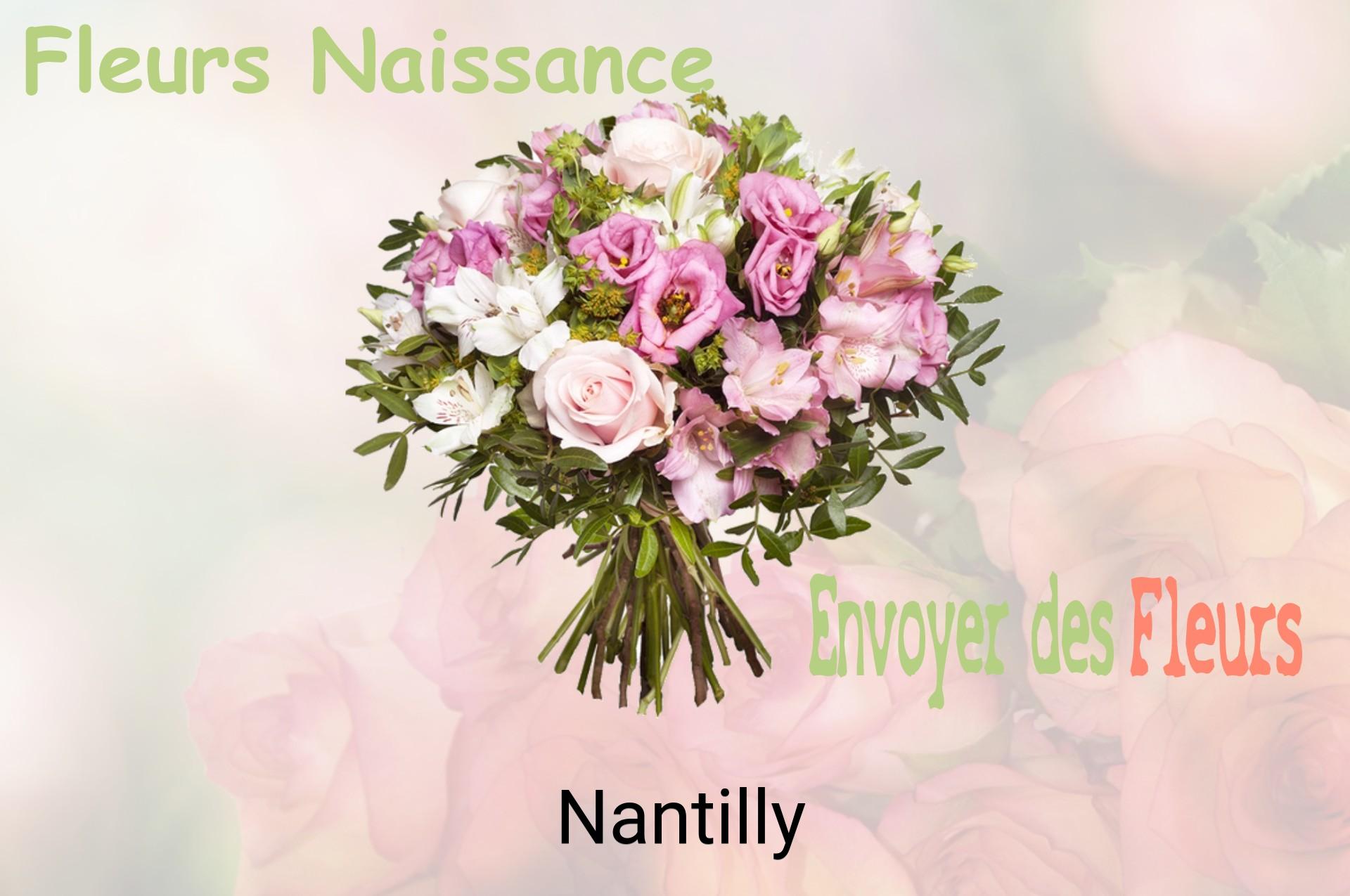 Bouquet de fleurs de naissance livré à Nantilly